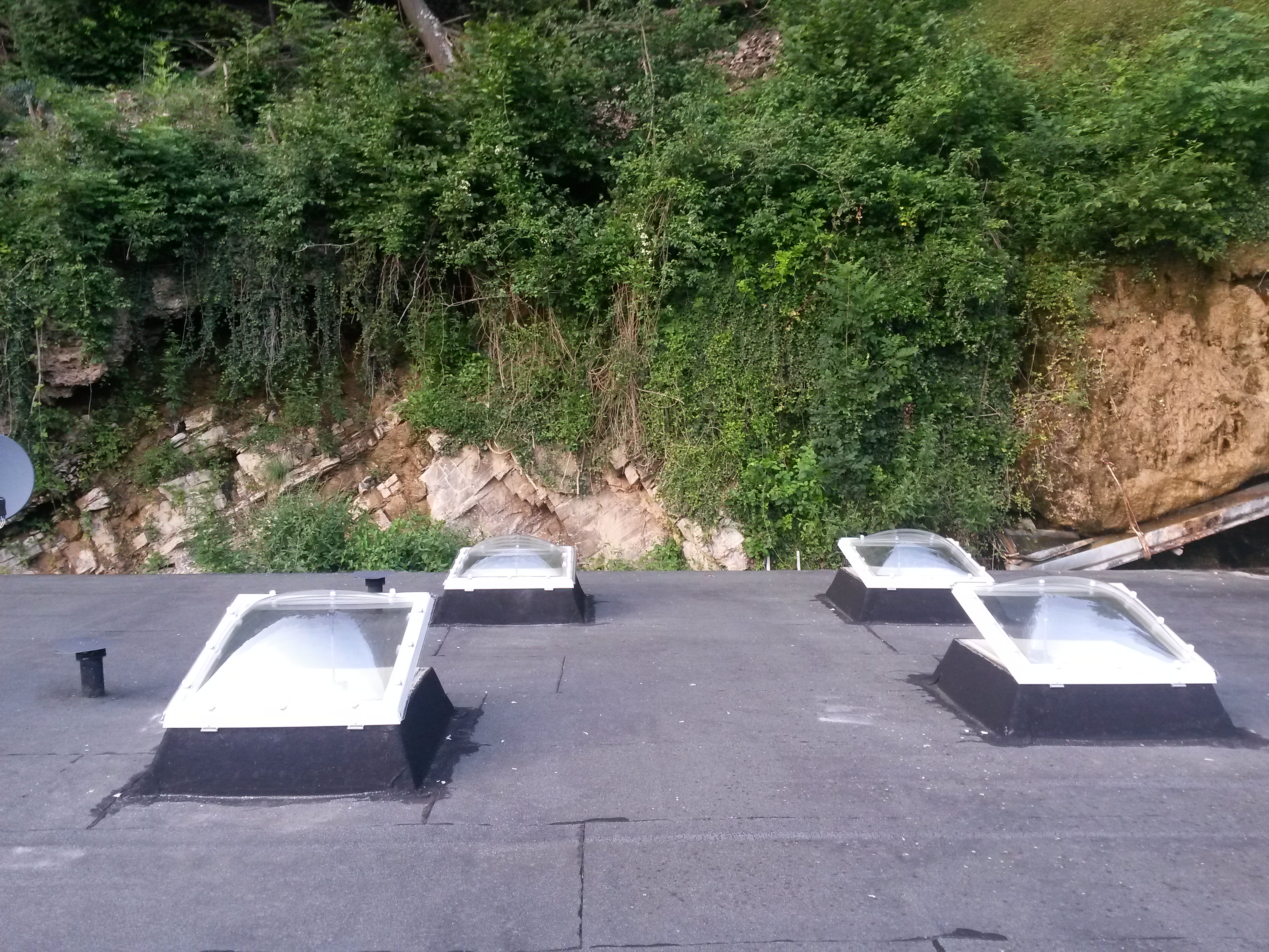 Vier Lichtkuppeln auf einem Bitumen-Flachdach, dahinter eine bewachsene Felswand.