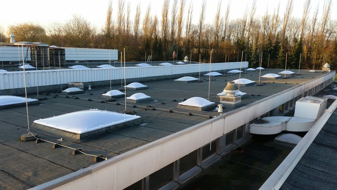 Großes Flachdach mit vielen Lichtkuppeln, Absturzsicherung aus Stangen und Seilen, dahinter eine Pappelreihe.