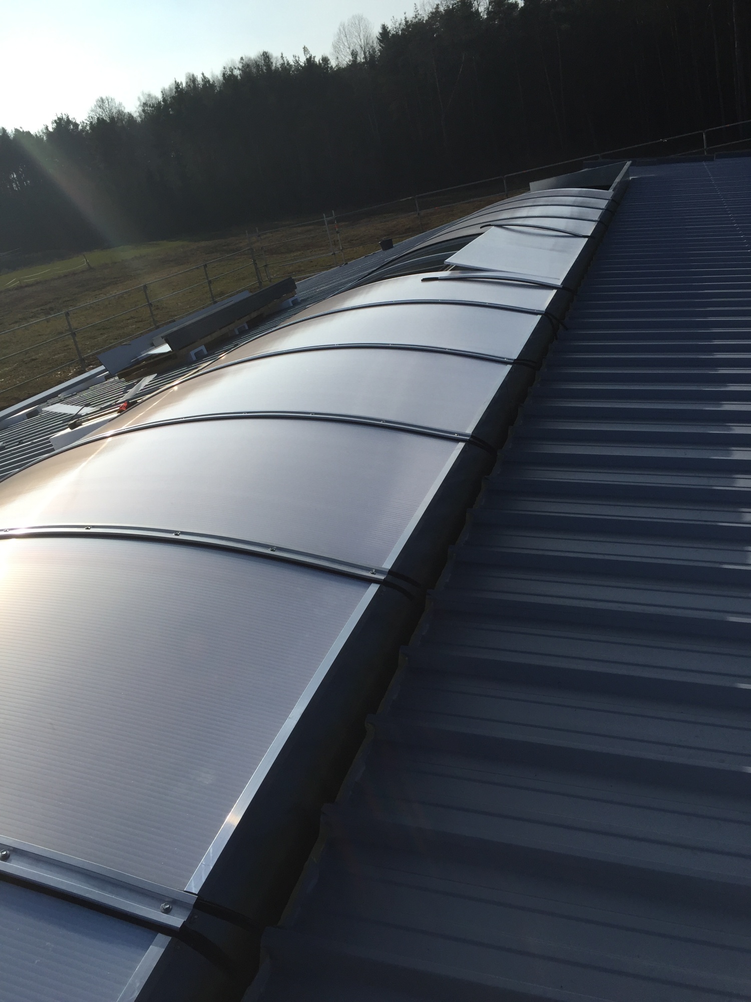 Das fertige Lichtband im Gegenlicht: die opalen Stegplatten sitzen in den Bögen, rechts läuft das Trapezblechdach ab.