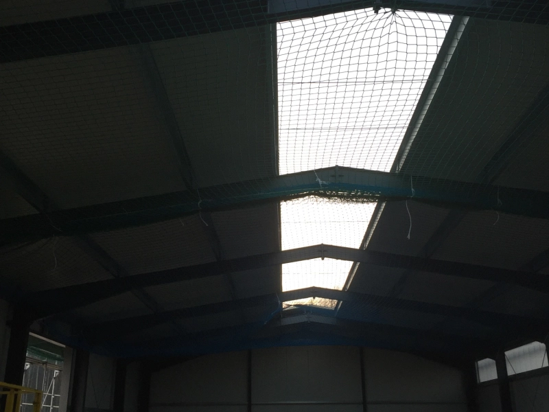 Blick von innen in die Halle: Durch das Firstlichtband f&auml;llt Tageslicht auf die noch leere Bodenfl&auml;che, darunter h&auml;ngt ein gr&uuml;nes Sicherungsnetz.
