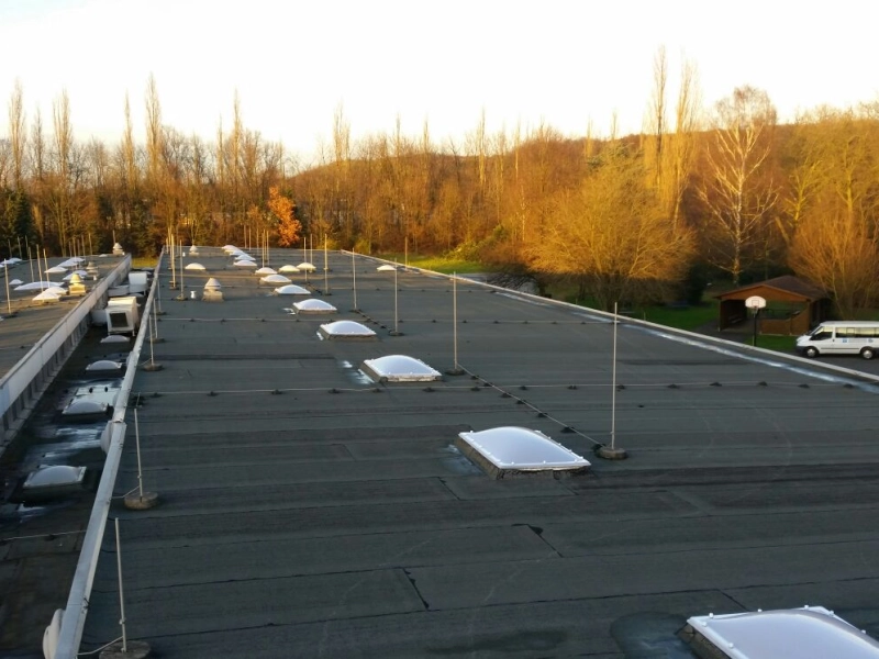 Dachfl&auml;che mit neuen Lichtkuppeln, rechts unten ein Parkplatz mit Transporter, dahinter ein bewaldeter H&uuml;gel.