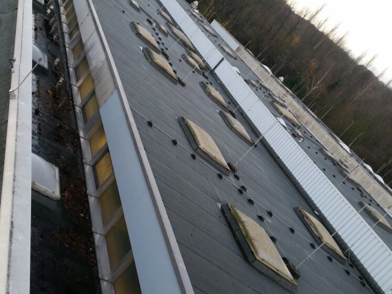 Steiler Blick entlang der Dachkante auf eine Reihe alter vergilbter Lichtkuppeln, links unten ein Fensterband.