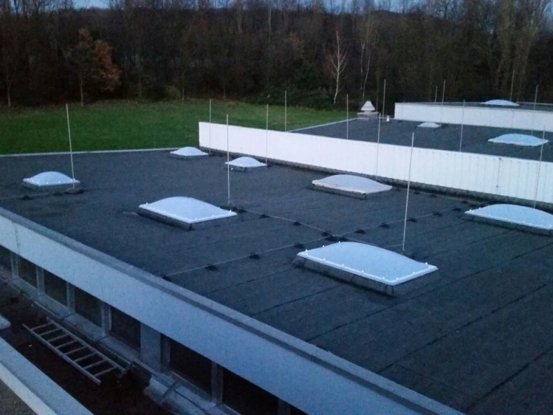 Dachfl&auml;che mit neuen Lichtkuppeln in der D&auml;mmerung, links ein Fensterband, im Hintergrund Wald.