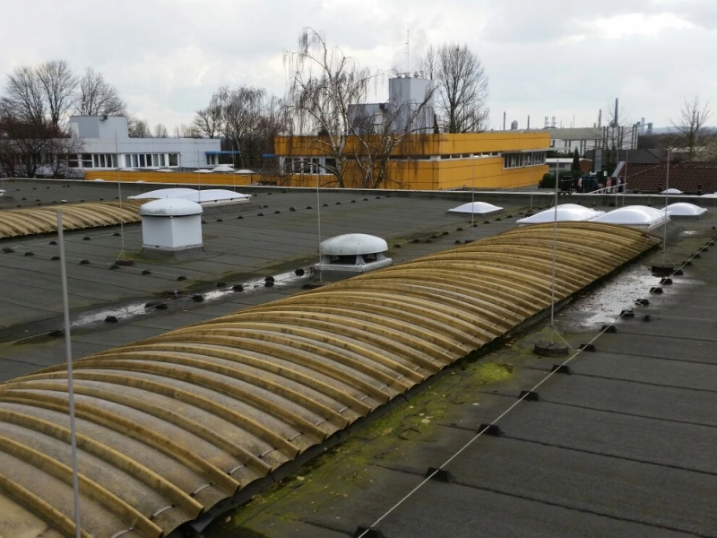 Dachfl&auml;che mit mehreren vergilbten Tonnenlichtb&auml;ndern und L&uuml;ftungshauben, im Hintergrund ein gelbes Geb&auml;ude.