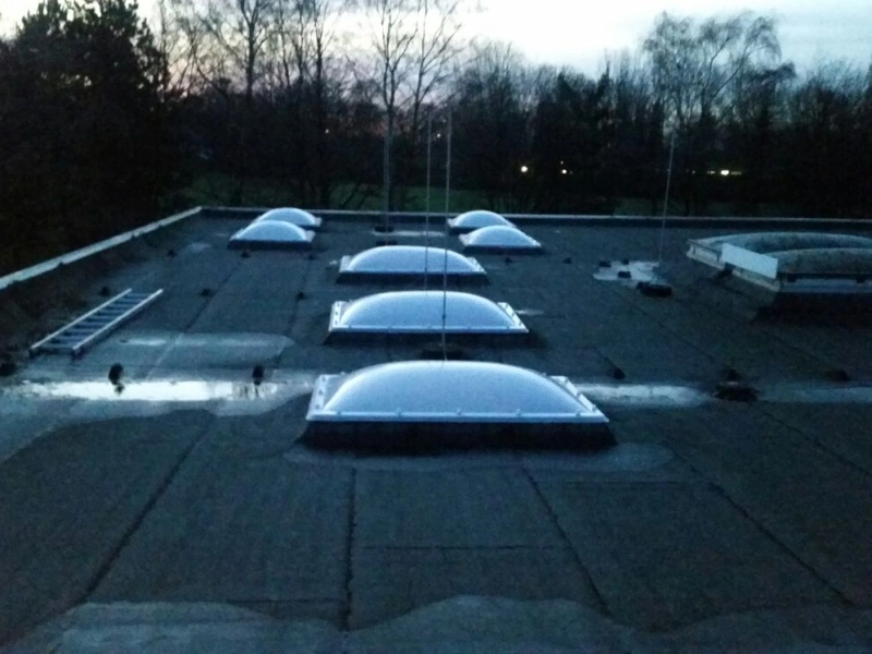 F&uuml;nf gew&ouml;lbte Lichtkuppeln in einer Reihe in der Abendd&auml;mmerung, links eine angelegte Leiter, rechts ein altes Oberlicht.